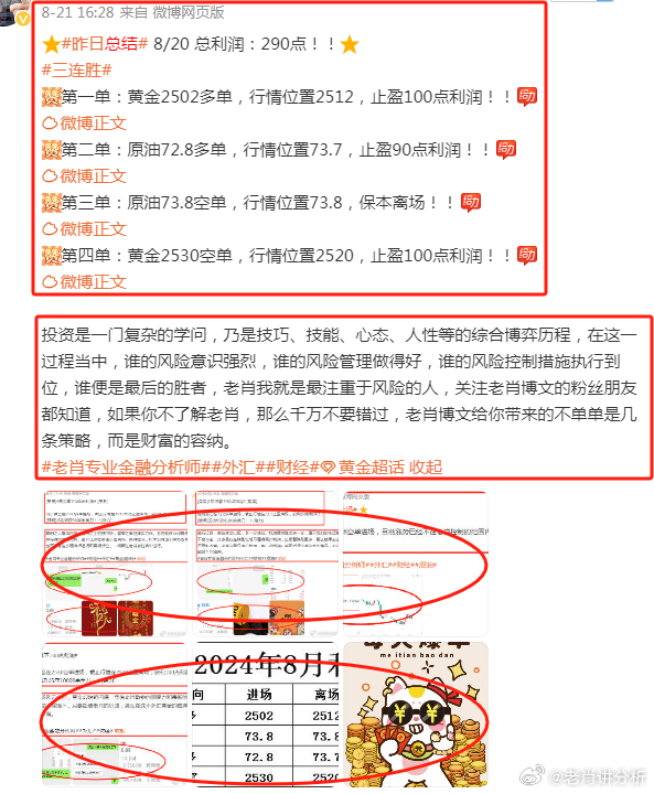 一肖计算方式的深度解析与应用探讨，一肖计算方式的深度解析及其应用领域探讨