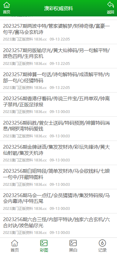 澳门资料大全正版资料，探索与解析（2025版），澳门资料大全正版探索与解析，最新解析报告（2025版）