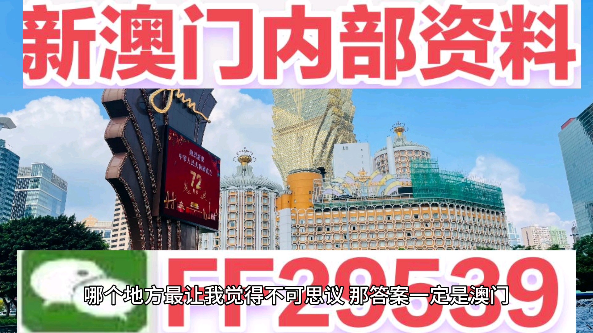 新澳门今晚开奖结果查询，探索彩票背后的故事，澳门彩票开奖结果查询，探索背后的故事与希望