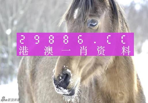澳门一肖一码，揭秘精准预测背后的故事，澳门一肖一码揭秘，精准预测背后的秘密故事