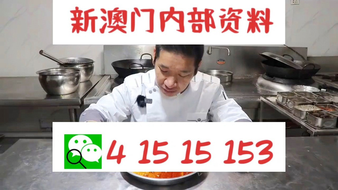 揭秘管家婆一码一肖资料，深度解析与实用指南，揭秘管家婆一码一肖资料，深度解析与实用指南手册