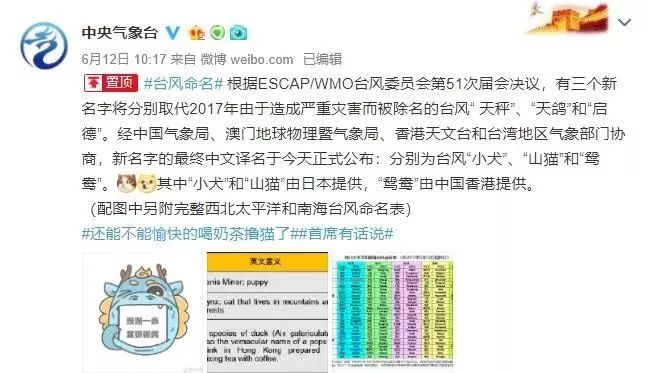 新澳门必中三肖三码三期必开刘伯，揭秘彩票背后的秘密与策略，揭秘彩票背后的秘密与策略，刘伯的新澳门三期必开三肖三码预测技巧
