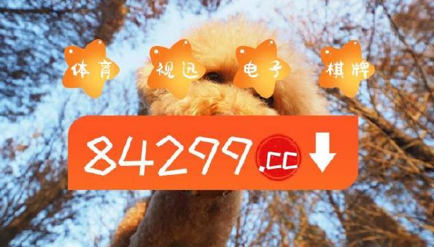 揭秘彩票背后的秘密，今期必中一肖一码白小姐的传说，揭秘彩票背后的秘密，白小姐一肖一码传说的真相探索
