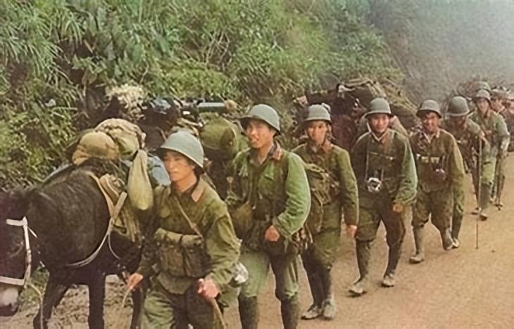 台湾最新消息与动态查询——今日焦点深度解析，台湾今日焦点深度解析，最新消息与动态查询