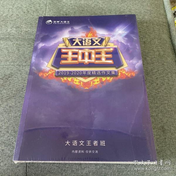 探索2019王中王资料，揭秘C一肖中的奥秘，揭秘王中王资料与C一肖中的奥秘，探索2019年背后的故事
