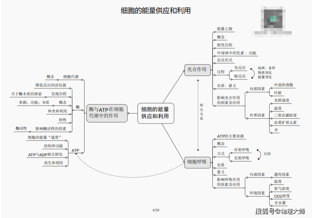 三肖内必开一期王中王，深度解析与预测，三肖内必开一期王中王，深度解析与预测报告