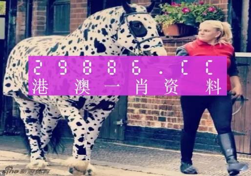 澳门王中王，一肖一特一中之奥秘，澳门王中王，揭秘一肖一特一中之奥秘