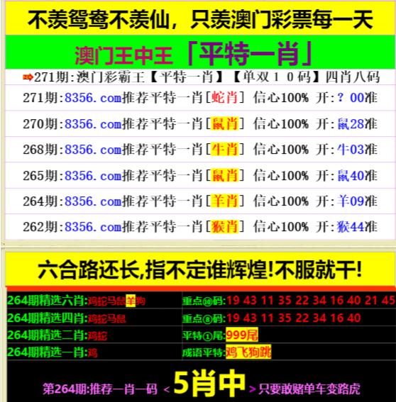 深度解析与探讨 第5页