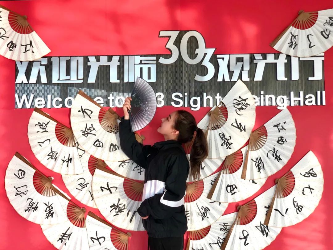 王中王303期指一生肖，探寻背后的故事与寓意，探寻王中王303期生肖背后的故事与寓意