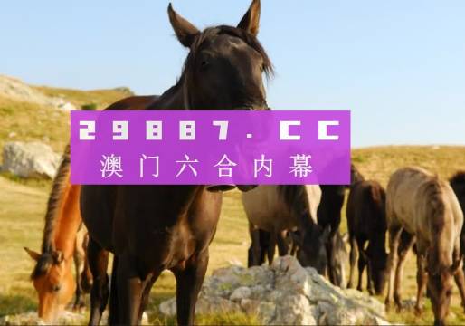 澳门一肖一码必中一码管家婆，揭秘与探索，澳门一肖一码揭秘与探索，必中一码管家婆