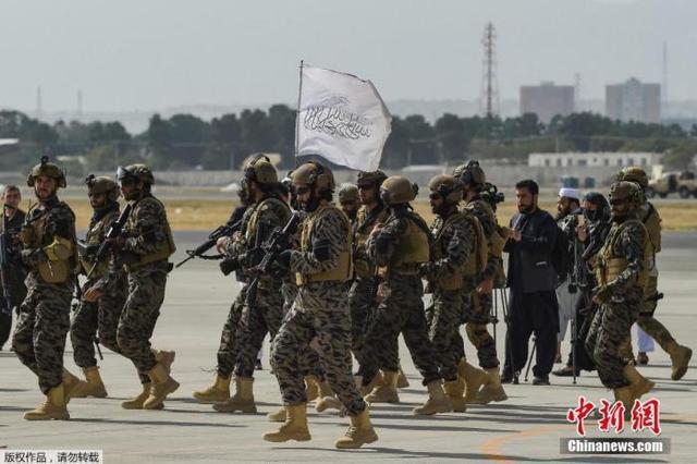 国际特种兵学校概览，国际特种兵学校全面解析