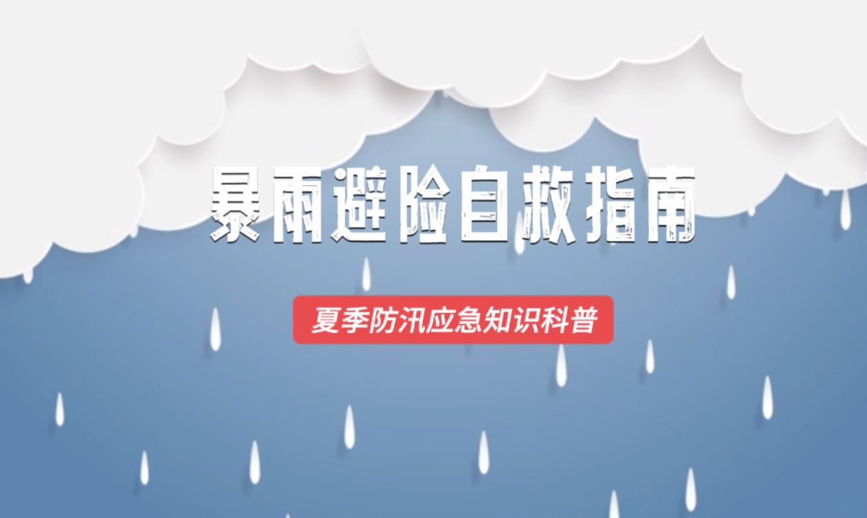 澳门六开奖今天结果资料详解，澳门六开奖今日结果资料详解
