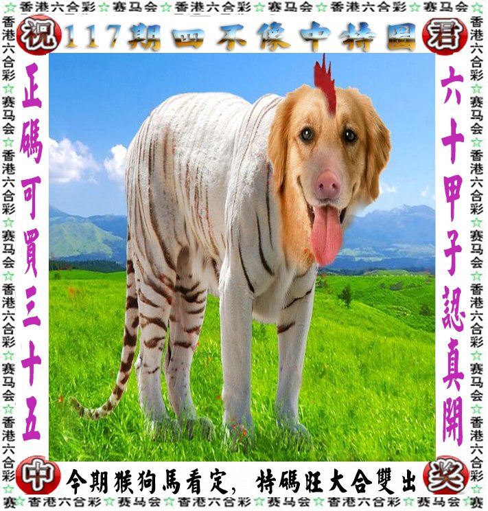 王中王肖四不像肖一肖特，探索与解析，王中王肖四不像肖一肖特，深度探索与解析