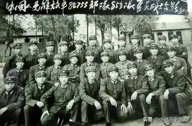 军改后三野部队的数量与变化，深度解析与探讨，军改后三野部队数量与变化深度解析，深度探讨与观察