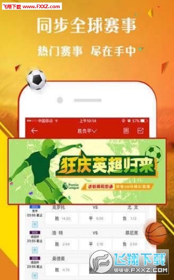 探索王中王504三肖的魅力，一场数字与命运的奇妙之旅，王中王504三肖的魅力，数字与命运的奇妙探索之旅