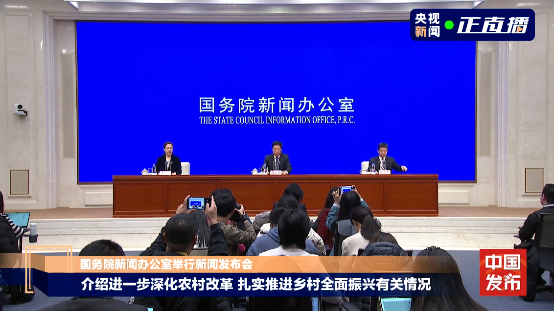 最近国际国内新闻综述，全球动态与中国步伐，全球动态与中国步伐，国际与国内新闻综述