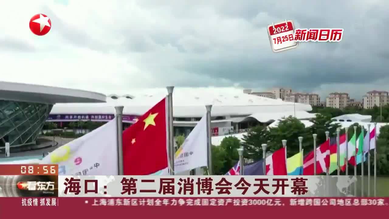 海口今日新闻快报，最新消息全面解析，海口最新新闻快报，全面解析今日最新消息