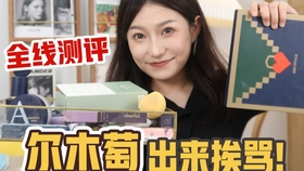 王中王平肖一特，探寻卓越之路，王中王平肖一特，探寻卓越之路的历程