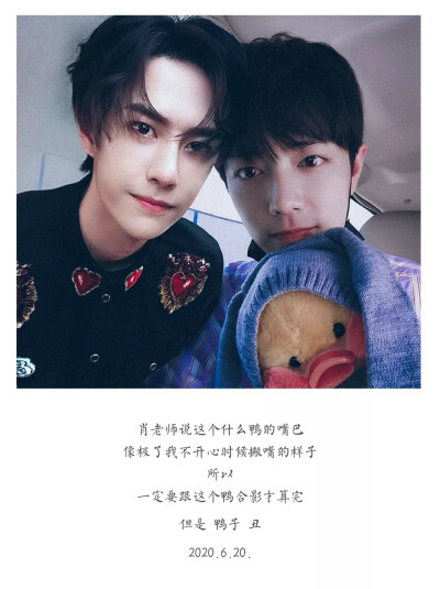 王中王一肖中特一肖经准——探寻精准预测的魅力，精准预测的魅力，王中王一肖经准探寻记