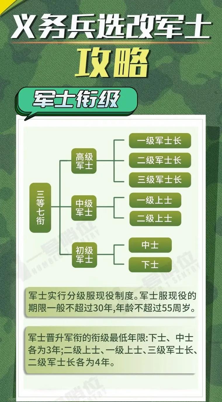 军改后军官与士兵比例的变化及其影响，军改后军官与士兵比例调整及其深远影响