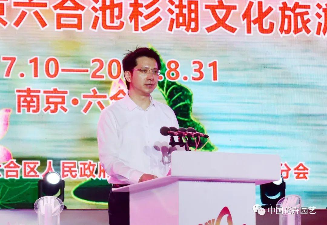 澳门六开彩开奖结果及其影响，澳门六开彩开奖结果及其社会影响分析