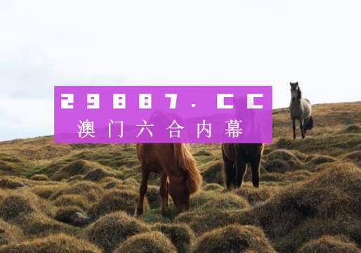 澳门六开奖结果深度解析