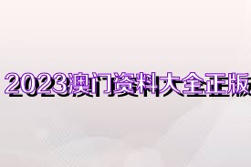 澳门资料大全正版资料——探索澳门的历史与文化魅力，澳门历史与文化魅力探索，正版资料大全