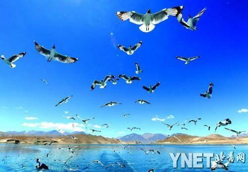 新一代巡逻艇，探索与挑战——记一艘30吨级巡逻艇的使命与优势，新一代巡逻艇的使命与优势，探索与挑战之路