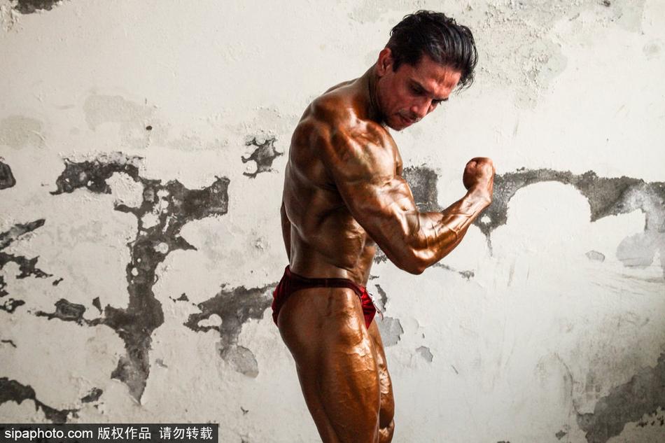 王中王四不像一肖，神秘与传奇的交织，王中王四不像一肖，神秘与传奇的交融