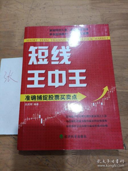 王中王平特一肖中的世界，探索与解读，王中王平特一肖中的世界，深度探索与解读