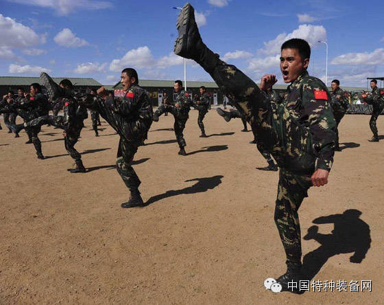 中国特种兵头像，象征荣耀与使命的符号，中国特种兵头像，荣耀与使命的象征