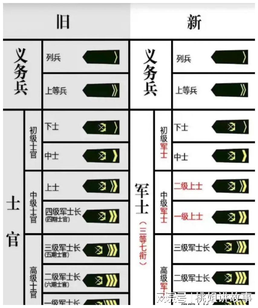 干六衔三与军转论坛，探索转型之路，共筑强国之梦，探索转型之路，共筑强国之梦，干六衔三与军转论坛综述