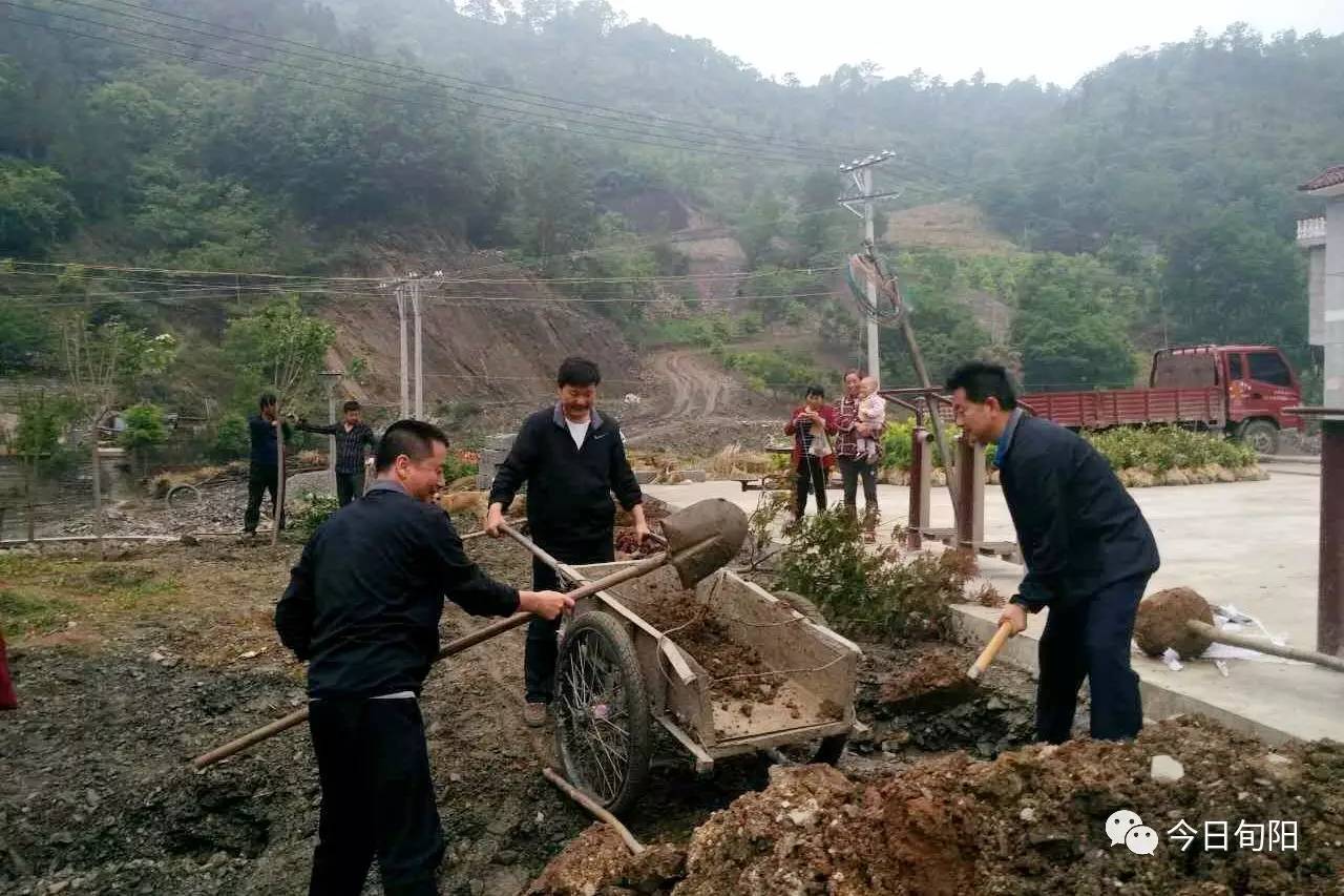 旬阳最近发生重大新闻，城市新动向与社会瞩目焦点，旬阳重大新闻揭秘，城市新动向成社会瞩目焦点
