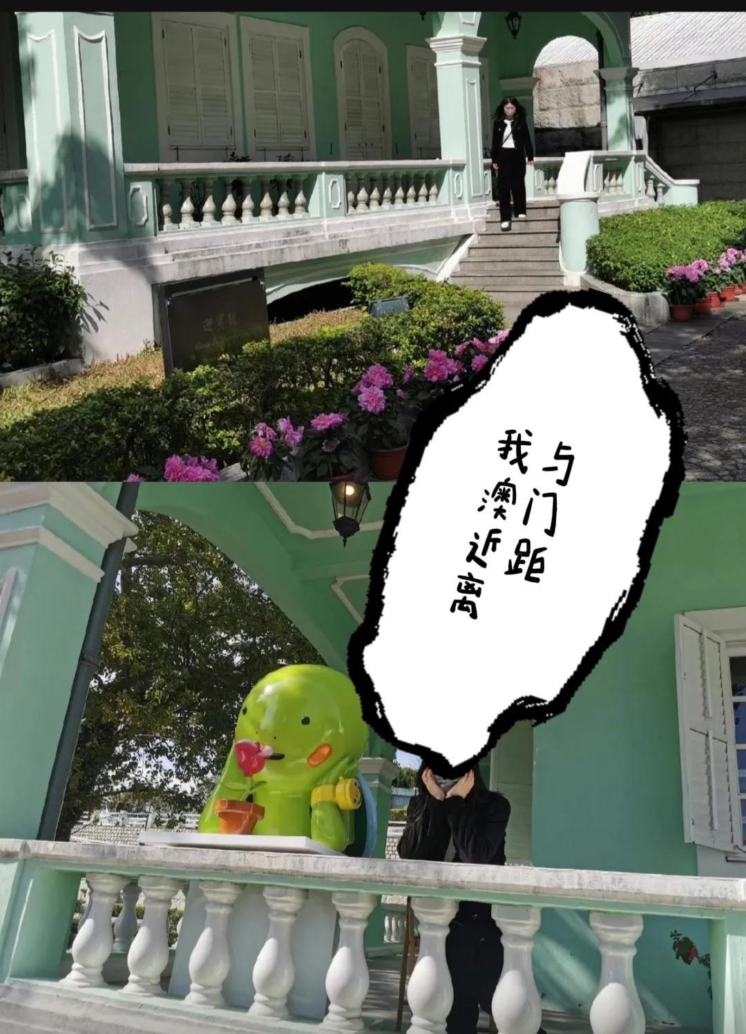 澳门天天开好彩，探索彩票的魅力与未来展望，澳门彩票魅力揭秘，展望未来的天天好彩之路
