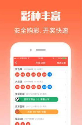 王中王四肖选一，策略、智慧与选择的魅力，策略、智慧与选择的魅力，王中王四肖选一之道