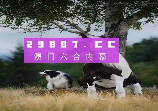 新澳门跑狗图正版免费，探索与解析，澳门正版跑狗图探索与解析指南
