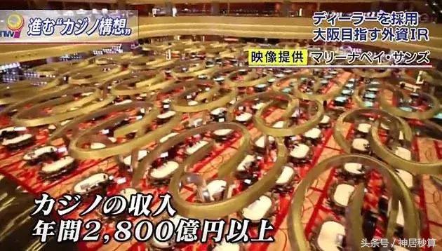 新澳门彩波色走势分析，澳门彩波色走势解析与预测