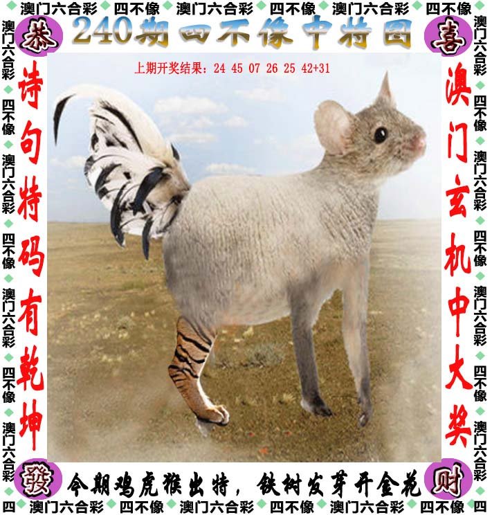 澳门今期正版四不像图片在哪里找，深度解析与指南，澳门正版四不像图片寻找指南，深度解析与搜索指南