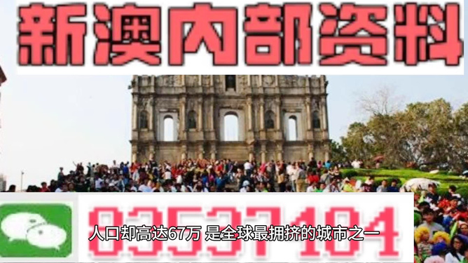 澳门正版大全，探索与体验免费资料的魅力，澳门正版大全，探索与体验免费资料的魅力之旅