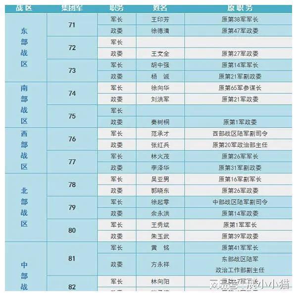 全景概览（或概览）