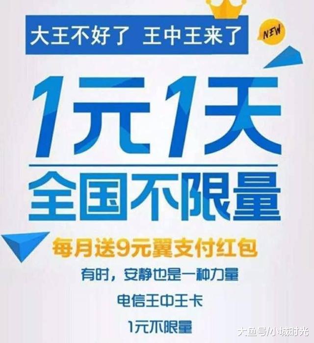 揭秘四不像王中王一必出一肖的神秘面纱，揭秘四不像王中王，神秘生肖预测揭秘