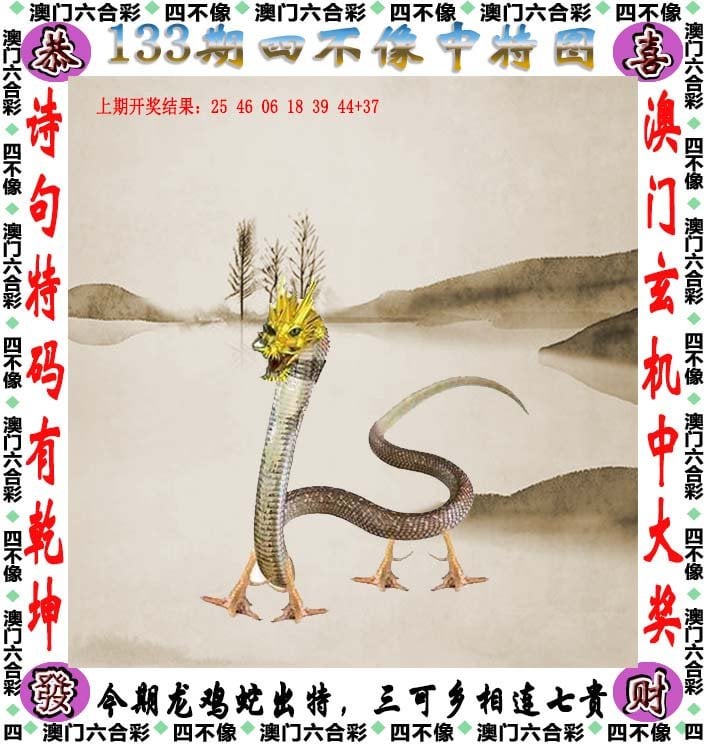 澳门今期的四不像，探索与解析，澳门今期四不像现象，深度探索与解析