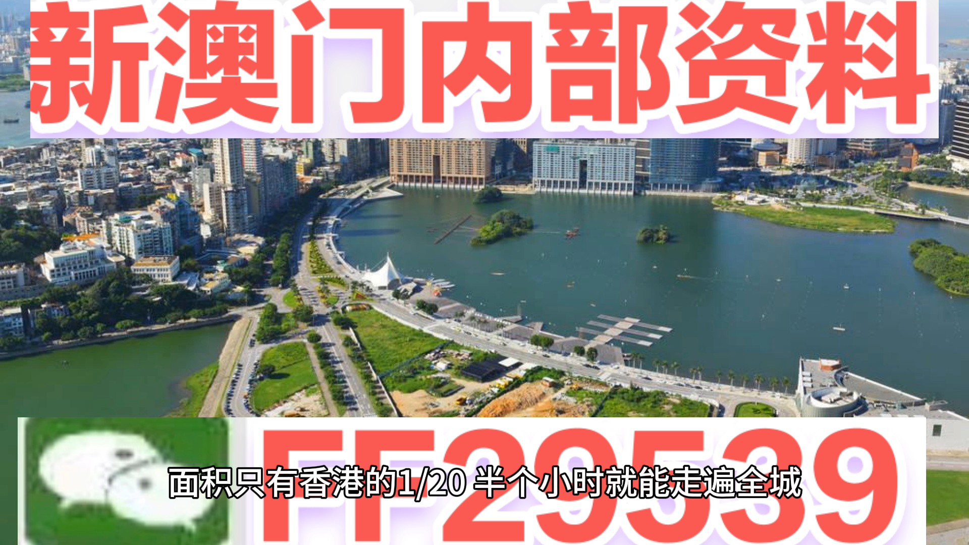 澳门特马今晚开奖大众网——探索彩票文化背后的故事，澳门特马今晚开奖探索彩票文化背后的故事大众网报道