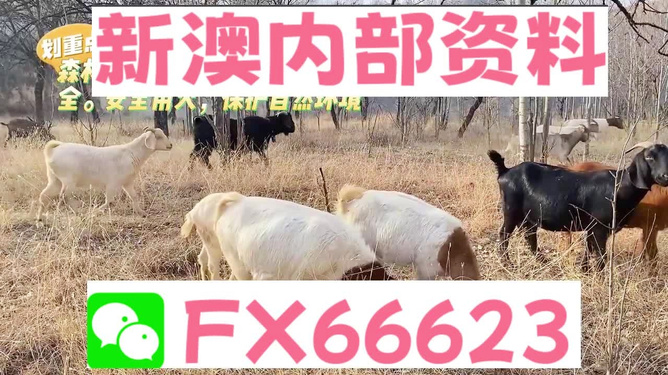 新澳2025今晚开奖资料四不像，深度分析与预测，新澳2025今晚开奖资料解析与深度预测