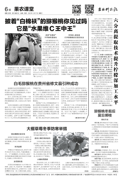 王中王一肖码水果奶奶的故事，王中王一肖码水果奶奶的传奇故事