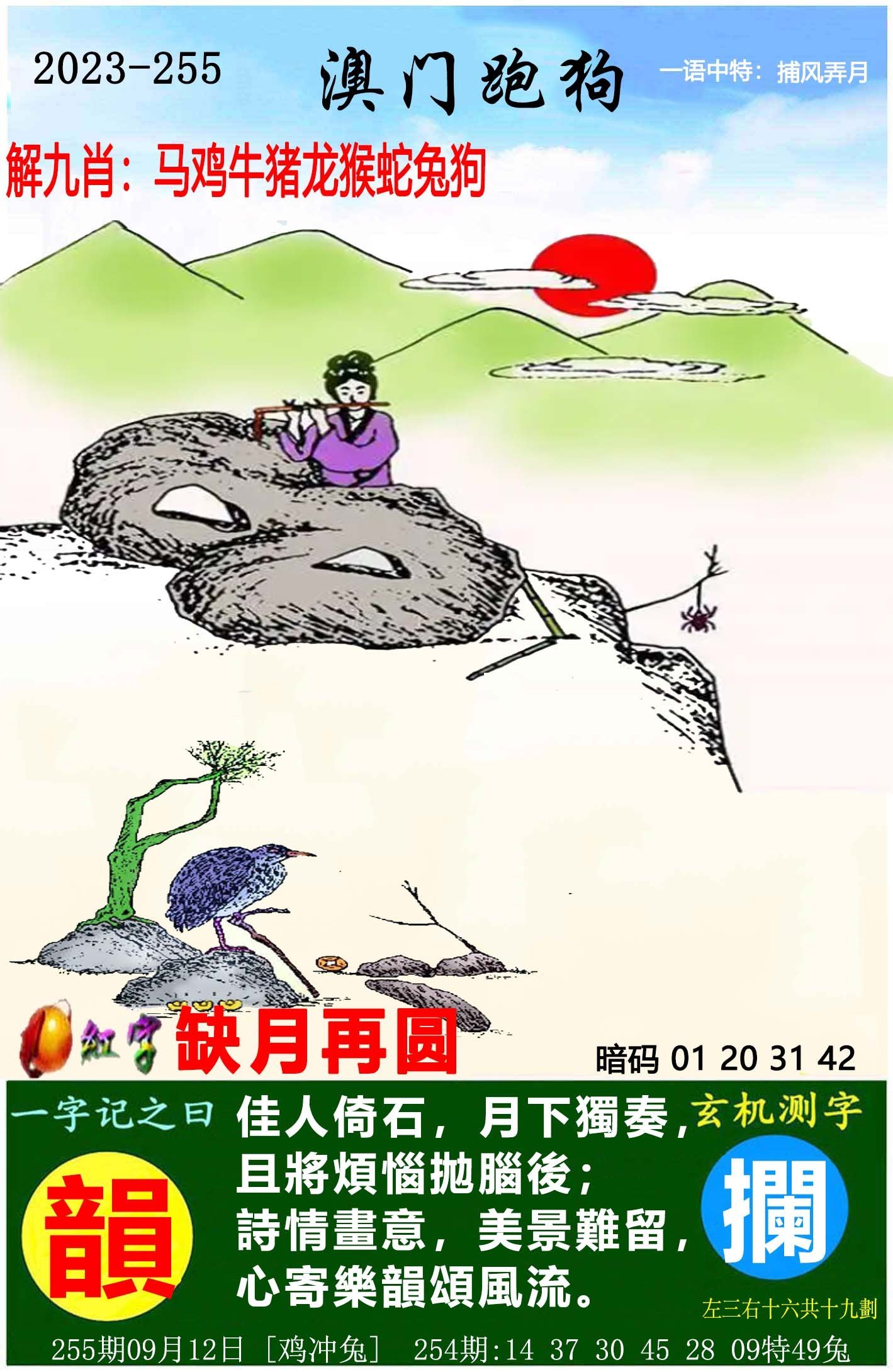 澳门彩票文化，探索2025年天天开好彩的奥秘与期待——第51期深度解析，澳门彩票文化深度解析，探索未来天天开好彩的奥秘与期待（第51期）