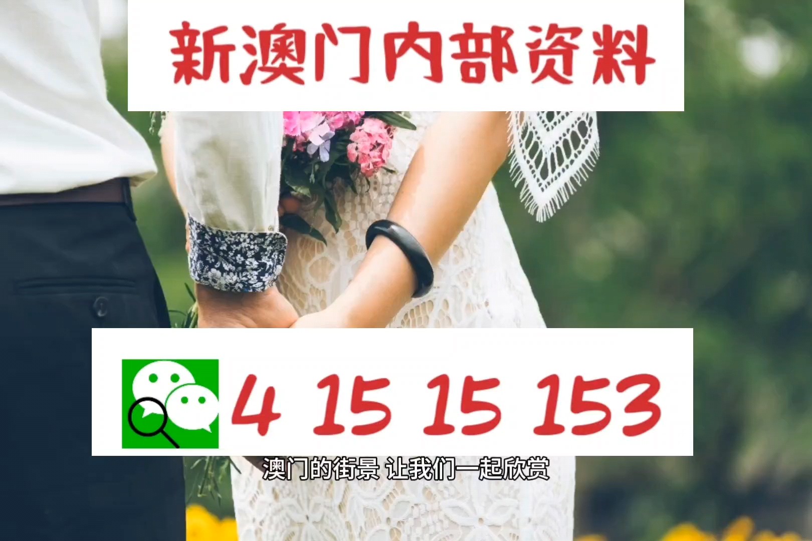 澳门六资料大全，深度解读澳门的历史、文化、经济、旅游、社会与生活，澳门全方位解读，历史、文化、经济、旅游、社会与生活大全