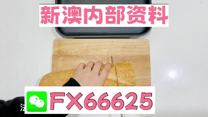 新澳门内部一码精准公开