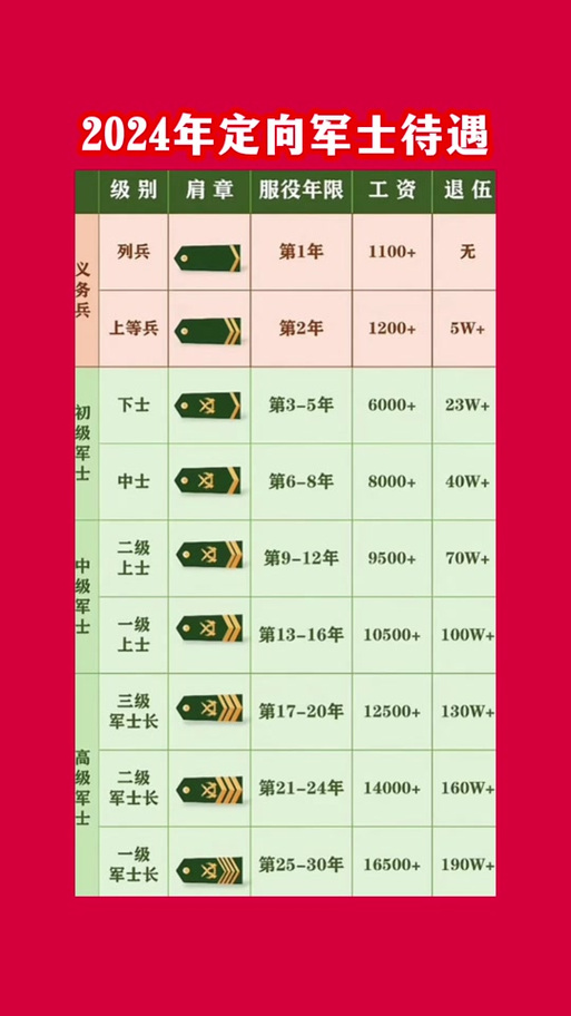 关于2024军官转业费明细表的探讨，2024军官转业费明细表解析与探讨