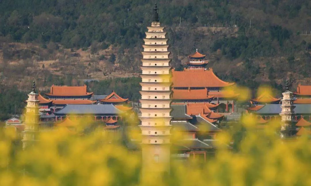 历史沿革